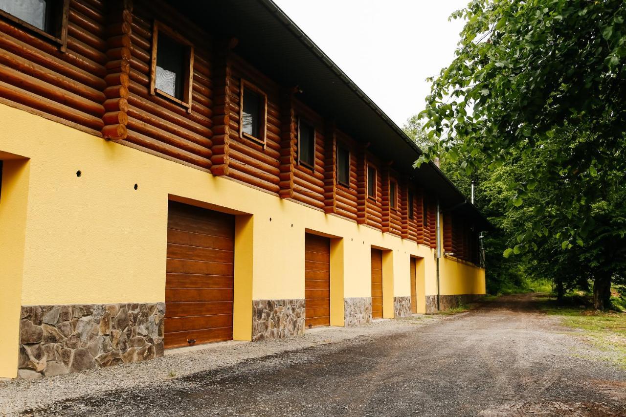 Chudodievo In Chynadievo Mini-Hotel Chynadiyovo Ngoại thất bức ảnh