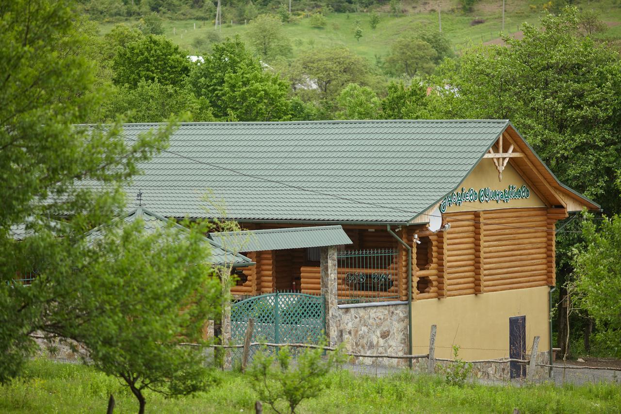 Chudodievo In Chynadievo Mini-Hotel Chynadiyovo Ngoại thất bức ảnh